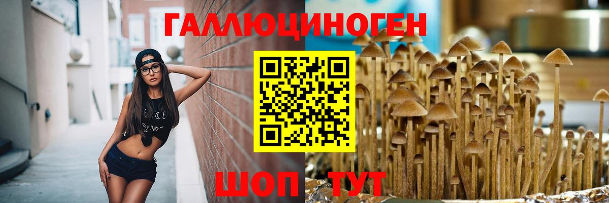 Псилоцибиновые грибы GOLDEN TEACHER Асино